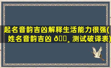 起名音韵吉凶解释生活能力很强(姓名音韵吉凶 🕸 测试破译表)